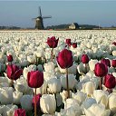 ���� �������, �������, 39 ��� - ��������� 28 ������� 2020