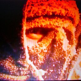 ������, ����������, 37 ���