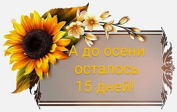   ,    . - 16  2020  20:09 - 4