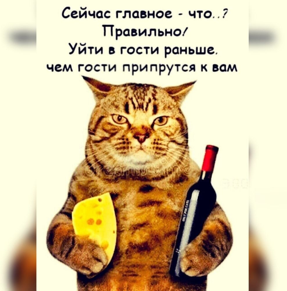  - 27  2021  20:35