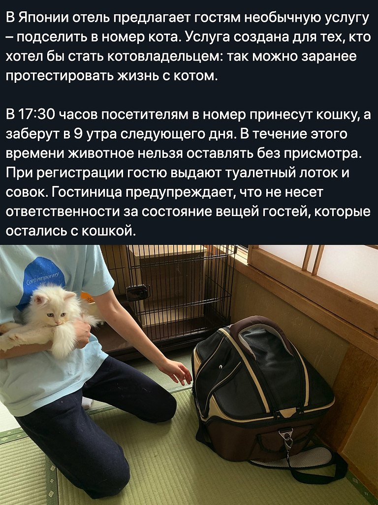    - 19  2020  18:57