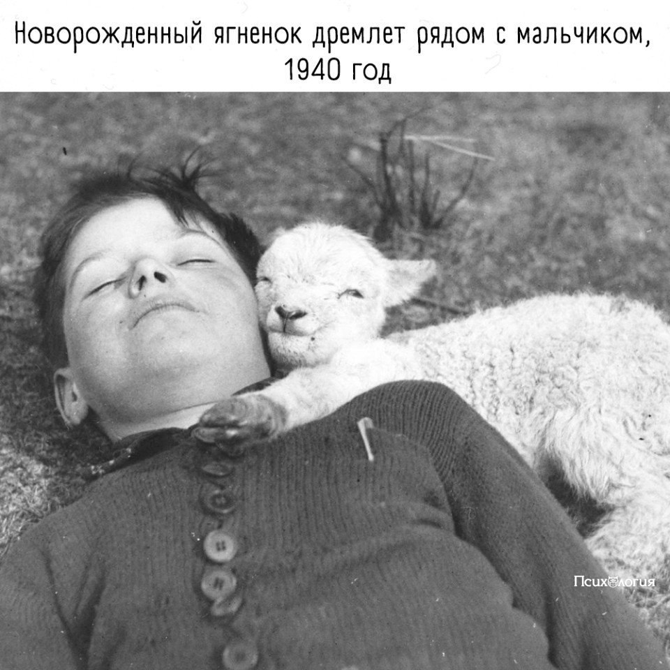   - ..