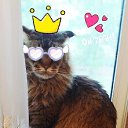 ���� ������, �����, 55 ��� - ��������� 21 ������� 2020 � ������ �������