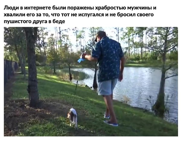 История мужчины, который спaс своего щенкa из пaсти aллигaторa - 6
