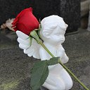 ���� �����, ������, 62 ���� - ��������� 22 ������� 2021 � ������ ���� ����������