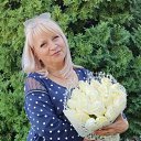 ���� �������, ������ - ��������� 1 �������� 2020 � ������ ���� ����������