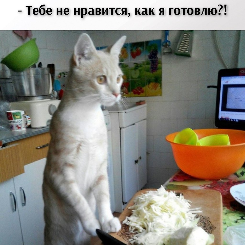       - 24  2021  11:50 - 5