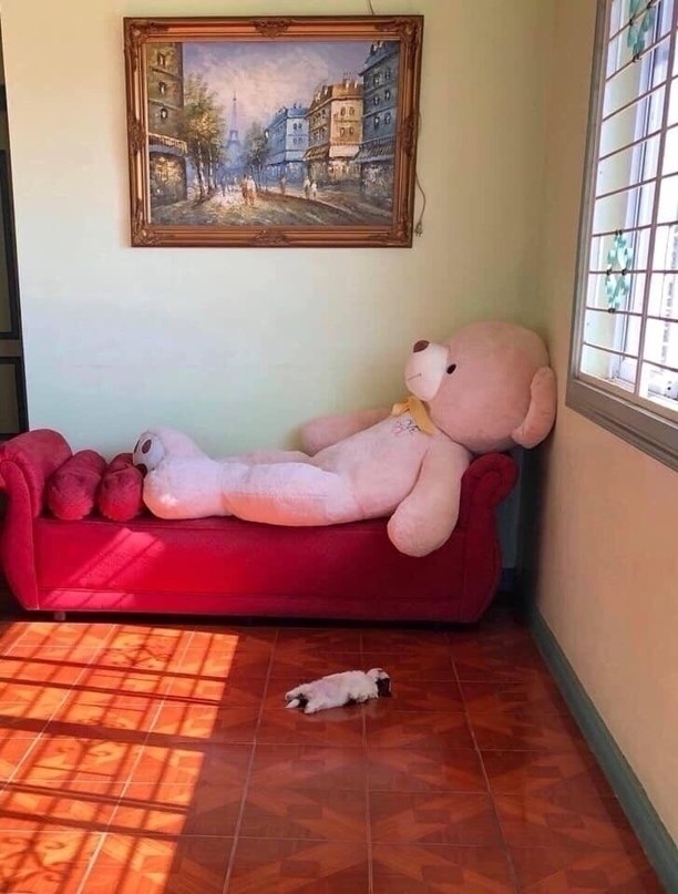         .    ,     - 2