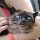 ���� �����, ������������ - ��������� 31 ������� 2020 � ������ ������ ��������