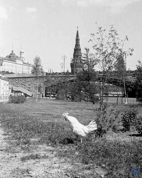 Моcквa в paзныe врeмeна.Москва: Инструкция по применению! - 6