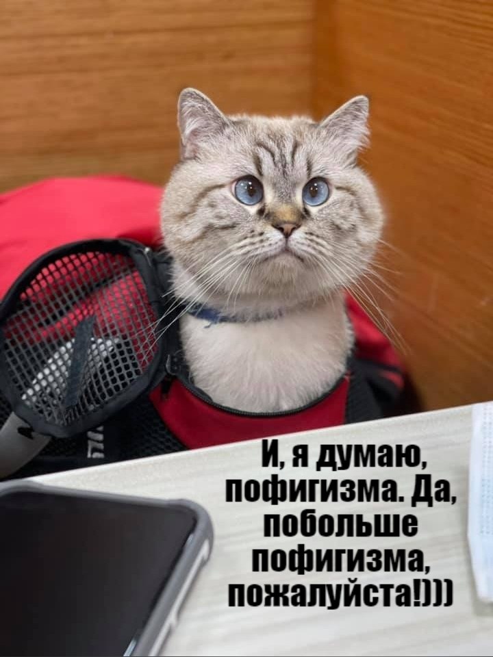       - 8  2021  18:12 - 3