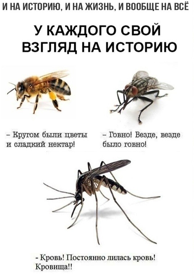 BEST | �����, ���������, ������ - 16 �������� 2020 � 19:07