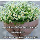 ���� ������, �������, 63 ���� - ��������� 27 ������ 2021 � ������ ���� ����������