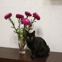 ���� �����, ��������� - ��������� 2 ������� 2020 � ������ ������� �� ...� �� ������