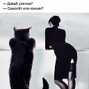 ���� ��������, ��������, 56 ��� - ��������� 19 ������ 2021 � ������ ������ ��������