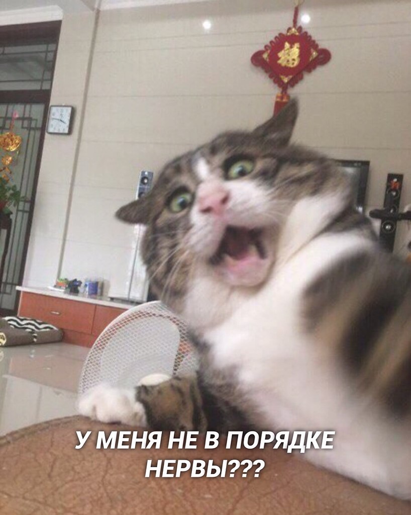   ! - 2