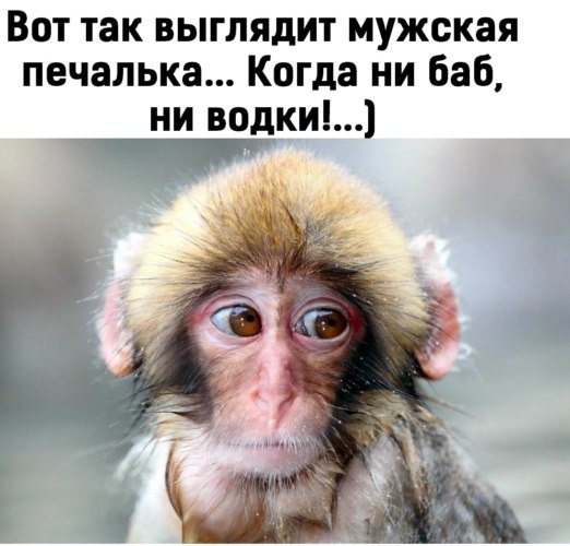   ! - 17  2020  14:02