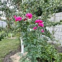 ���� Denis, �������� - ��������� 6 ������ 2020 � ������ ������ - ���� ))�