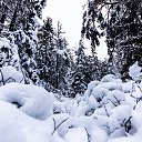  Shnoyi,  -  29  2021    