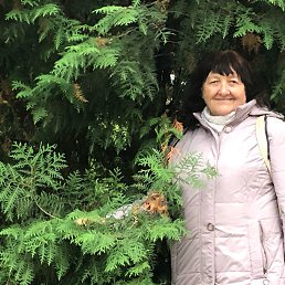 ������, �������, 75 ���