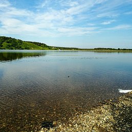 ���� �������, �������� - ��������� 2 �������� 2020