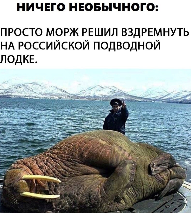 LIFE -  - 18  2020  19:05
