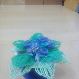 Nika, �����, 55 ���