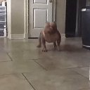 ���� �������, ������, 55 ��� - ��������� 7 ������ 2020 � ������ ���� ����������