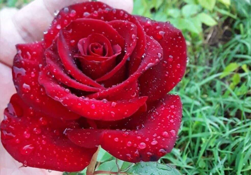   - 19  2020  22:24 - 4