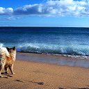 ���� ������, ������������ - ��������� 24 �������� 2020 � ������ ���� � ���