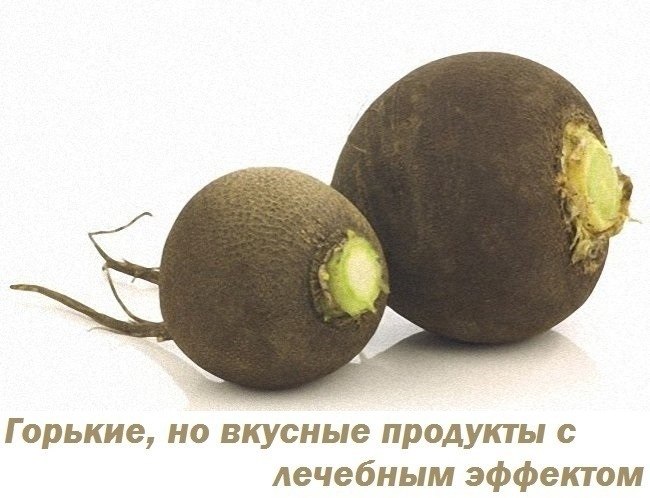 ГОРЬКИЕ ПРОДУКТЫ С ЛЕЧЕБНЫМ ЭФФЕКТОМ. 1. Редька – общеукрепляющее средство Казалось бы, ну что может ...