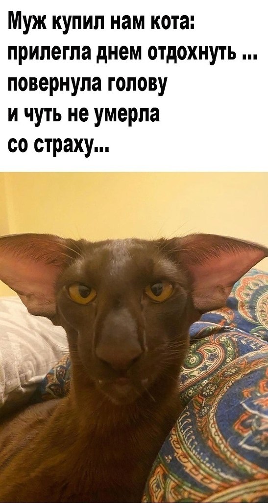   !)