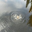 ���� ����, ������������, 62 ���� - ��������� 16 ������� 2020 � ������ ���� ����������