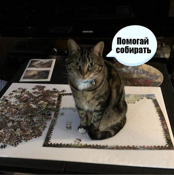       - 6  2020  19:06 - 2