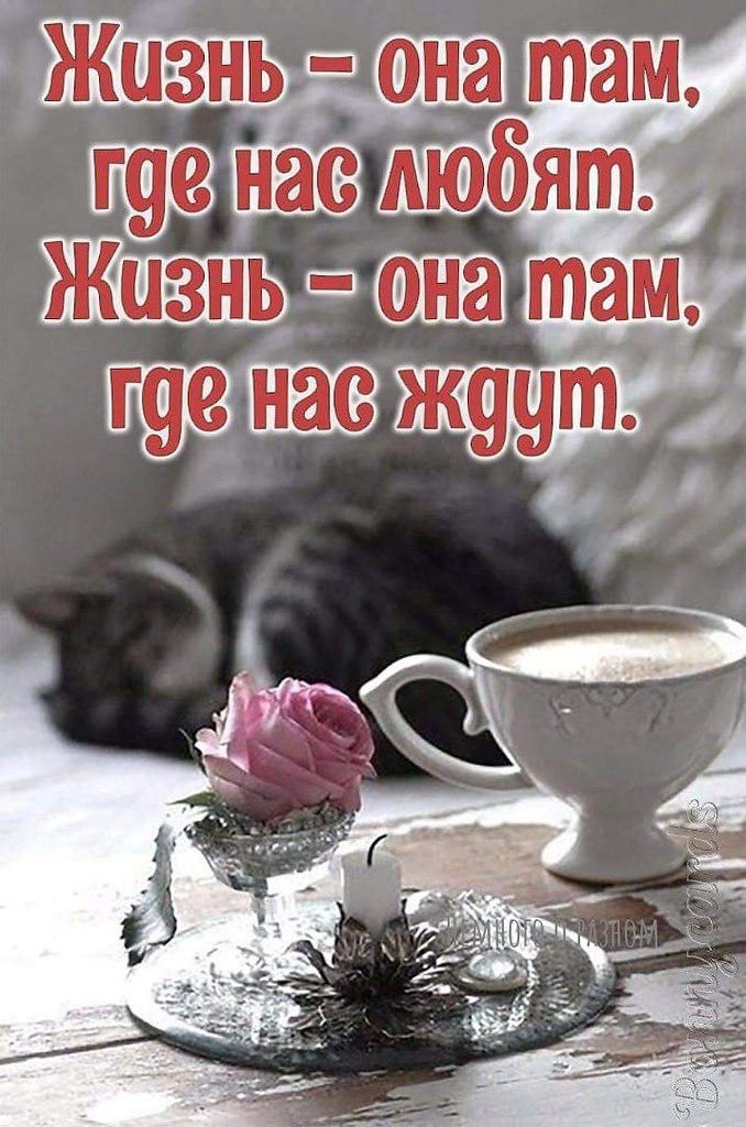   ,    . - 11  2021  22:54 - 2