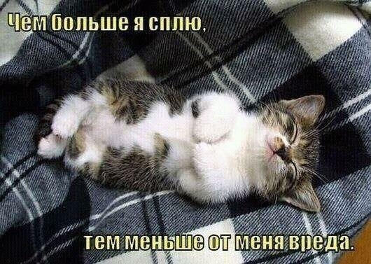    - 23  2021  18:39