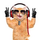 ���� �������, ������, 52 ���� - ��������� 2 �������� 2020 � ������ ���� ����������