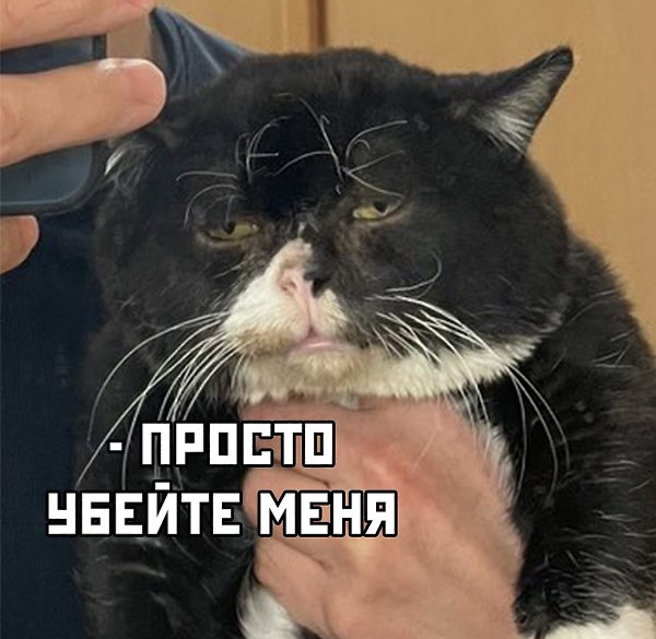 ������ � ����� 2020 ����: - 3