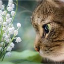 ���� ������, ������������ - ��������� 24 �������� 2020 � ������ ��������