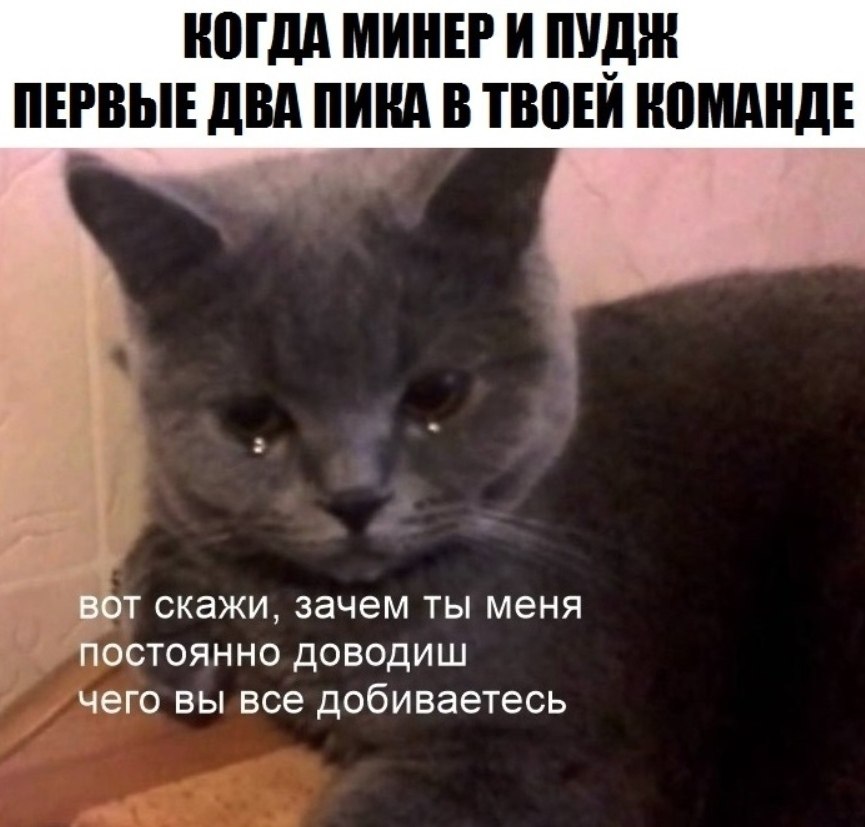 Зачем вам все это. Издеваешься надо мной. Ну и чего ты добился. Хватит издеваться надо мной. Зачем мне вы.