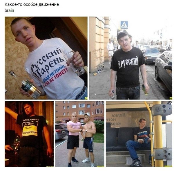 br�in.��e � ����� � �e��o������