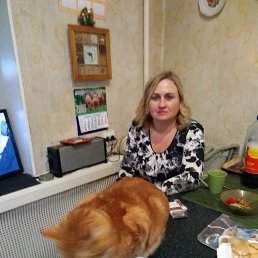 ���� ���������, �����-���������, 48 ��� - ��������� 12 �������� 2020