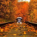 ���� ��������, ������, 64 ���� - ��������� 25 ������� 2020 � ������ ������ ��������