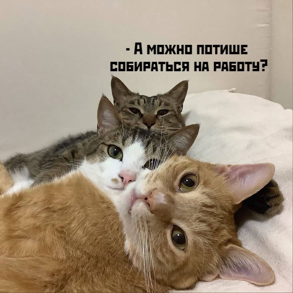       - 5  2020  18:55 - 3