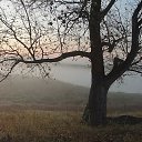 ���� Kuripka, ������, 39 ��� - ��������� 2 ������� 2020 � ������ ������ ��������