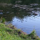  ,  , 60  -  28  2020    