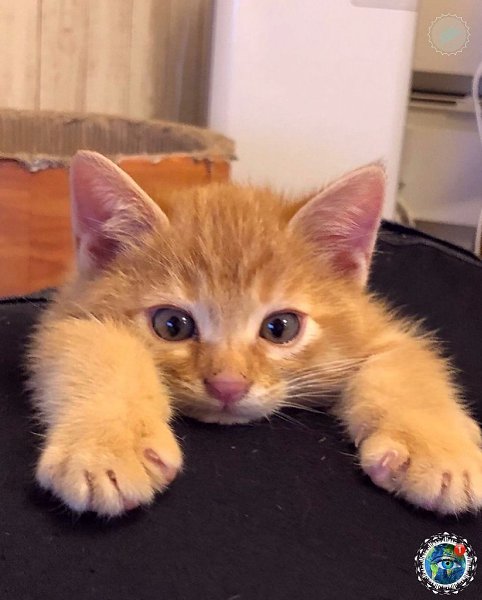 a o oo op oc, o a o.ee oeo. - 3