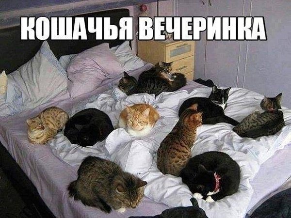    - 24  2020  21:33
