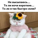 ���� �����, ���������, 41 ��� - ��������� 23 �������� 2020 � ������ ������ ��������