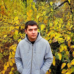 ���� �������, ������, 37 ��� - ��������� 31 ������� 2020